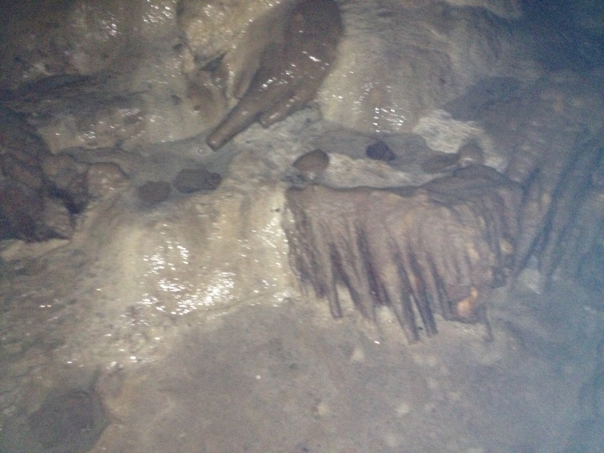 Θραύσματα αγγείων, Σπήλαιο Κάψια